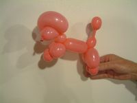 balloon poodle
